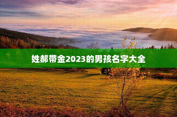 姓郝带金2023的男孩名字大全