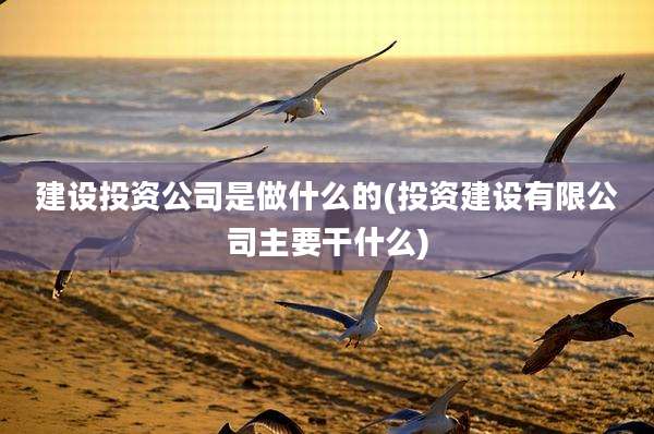 建设投资公司是做什么的(投资建设有限公司主要干什么)