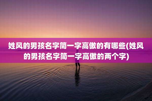 姓风的男孩名字简一字高傲的有哪些(姓风的男孩名字简一字高傲的两个字)