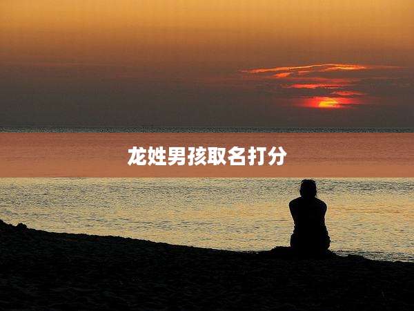 龙姓男孩取名打分