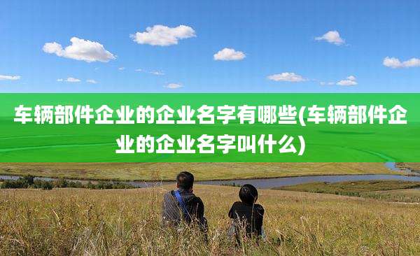 车辆部件企业的企业名字有哪些(车辆部件企业的企业名字叫什么)