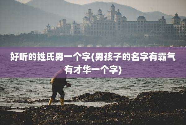 好听的姓氏男一个字(男孩子的名字有霸气有才华一个字)