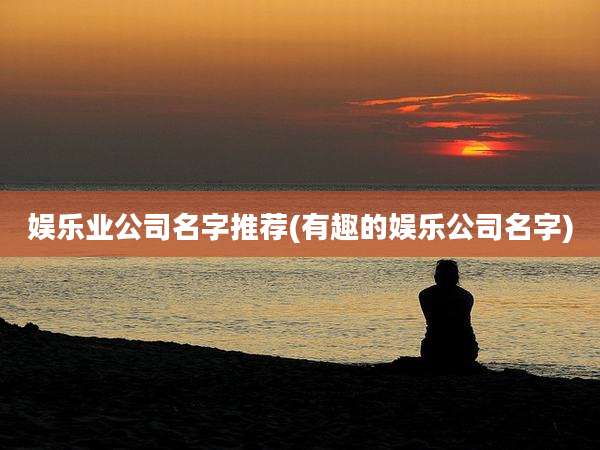 娱乐业公司名字推荐(有趣的娱乐公司名字)