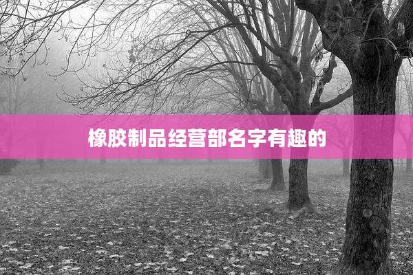 橡胶制品经营部名字有趣的