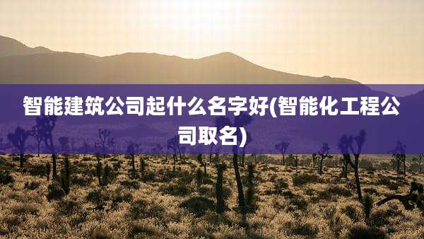 智能建筑公司起什么名字好(智能化工程公司取名)