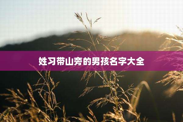 姓习带山旁的男孩名字大全