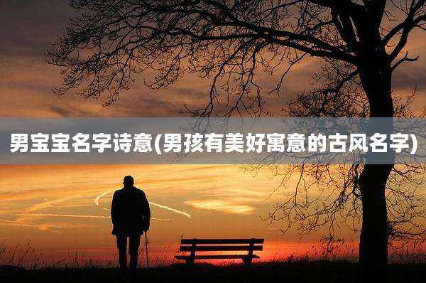男宝宝名字诗意(男孩有美好寓意的古风名字)
