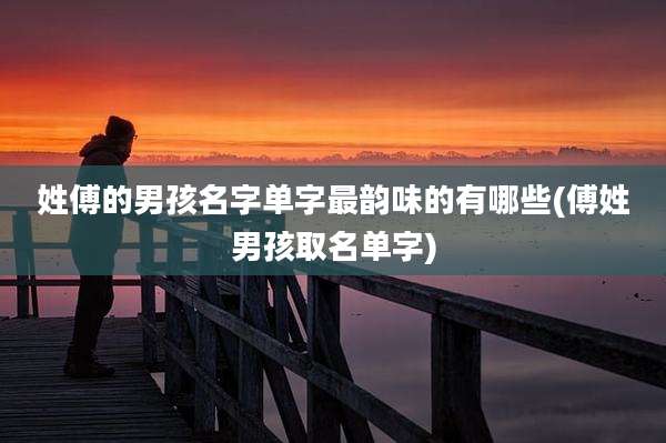 姓傅的男孩名字单字最韵味的有哪些(傅姓男孩取名单字)