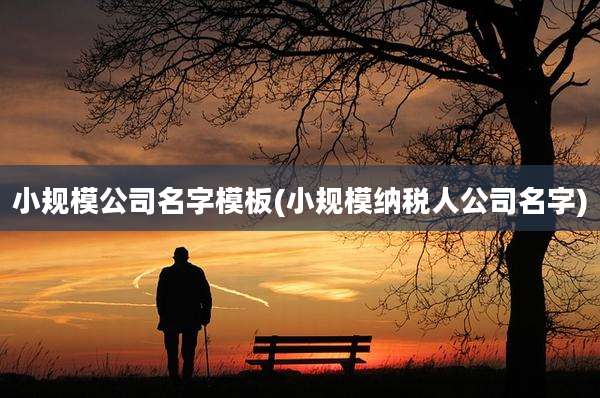 小规模公司名字模板(小规模纳税人公司名字)