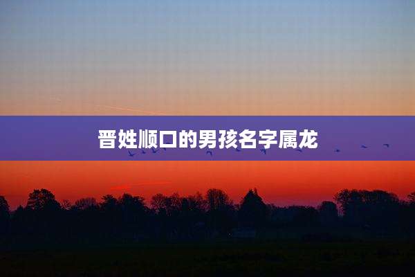 晋姓顺口的男孩名字属龙