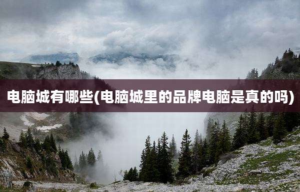 电脑城有哪些(电脑城里的品牌电脑是真的吗)