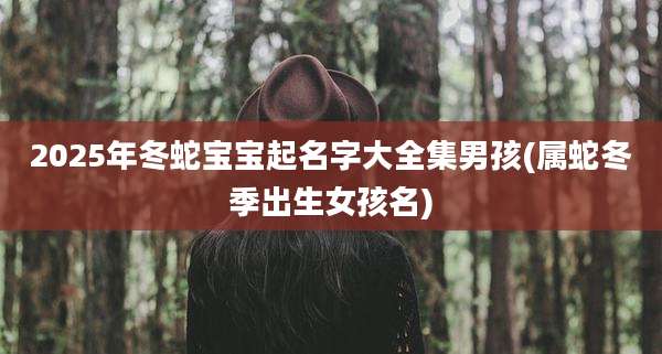 2025年冬蛇宝宝起名字大全集男孩(属蛇冬季出生女孩名)