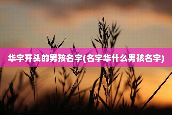 华字开头的男孩名字(名字华什么男孩名字)