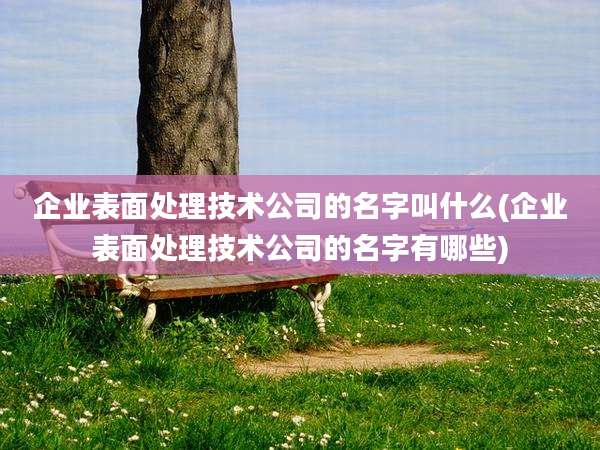 企业表面处理技术公司的名字叫什么(企业表面处理技术公司的名字有哪些)