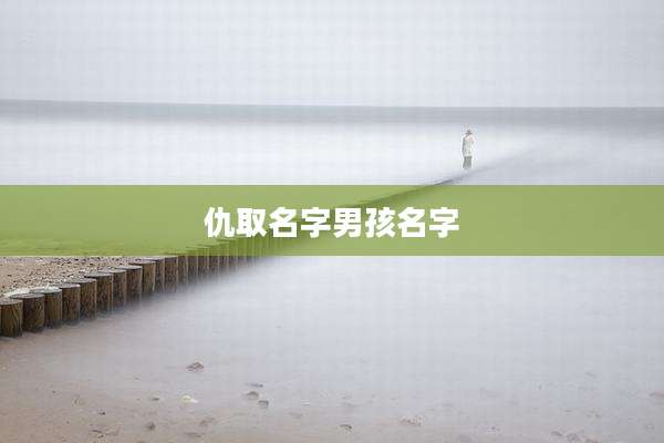仇取名字男孩名字