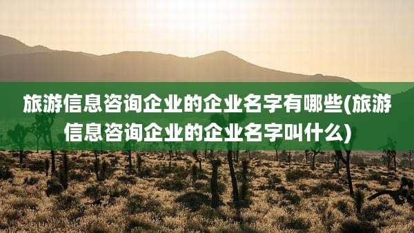 旅游信息咨询企业的企业名字有哪些(旅游信息咨询企业的企业名字叫什么)