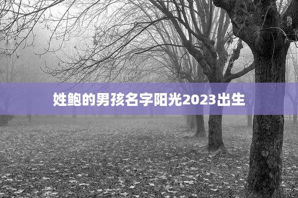 姓鲍的男孩名字阳光2023出生