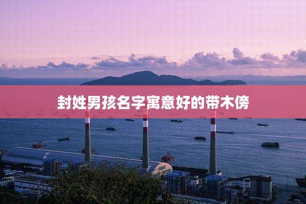 封姓男孩名字寓意好的带木傍