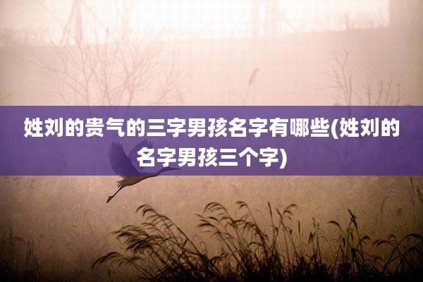 姓刘的贵气的三字男孩名字有哪些(姓刘的名字男孩三个字)