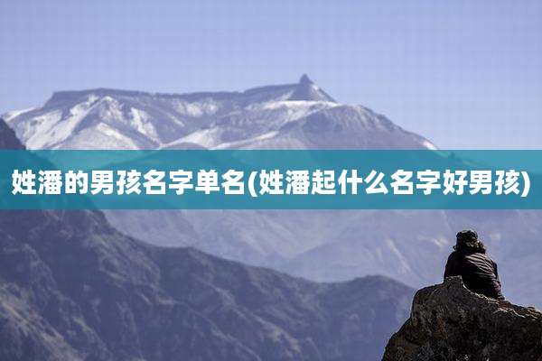 姓潘的男孩名字单名(姓潘起什么名字好男孩)