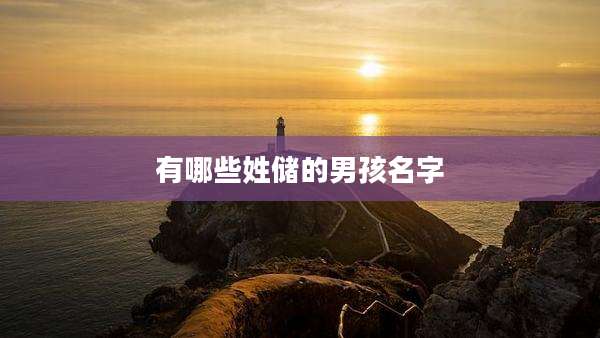有哪些姓储的男孩名字