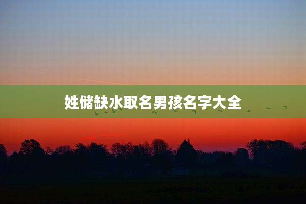 姓储缺水取名男孩名字大全