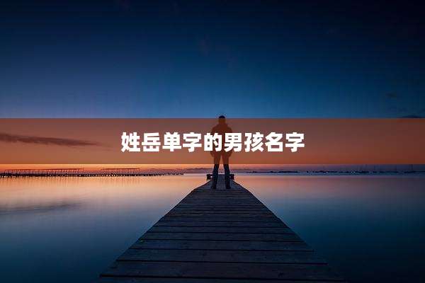 姓岳单字的男孩名字