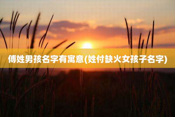 傅姓男孩名字有寓意(姓付缺火女孩子名字)