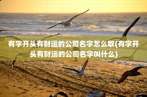 有字开头有财运的公司名字怎么取(有字开头有财运的公司名字叫什么)