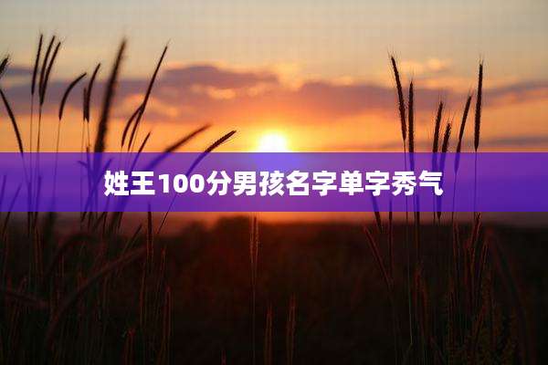 姓王100分男孩名字单字秀气