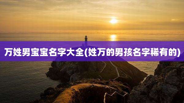 万姓男宝宝名字大全(姓万的男孩名字稀有的)