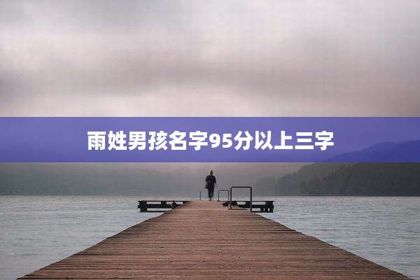 雨姓男孩名字95分以上三字