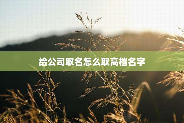 给公司取名怎么取高档名字