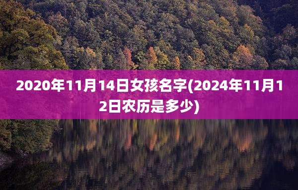 2020年11月14日女孩名字(2024年11月12日农历是多少)