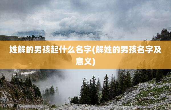 姓解的男孩起什么名字(解姓的男孩名字及意义)
