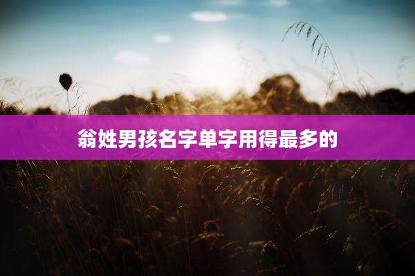 翁姓男孩名字单字用得最多的