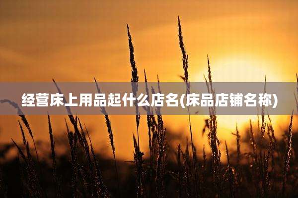 经营床上用品起什么店名(床品店铺名称)
