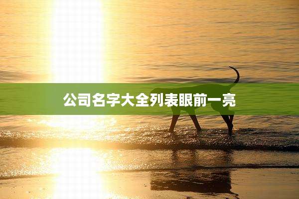 公司名字大全列表眼前一亮