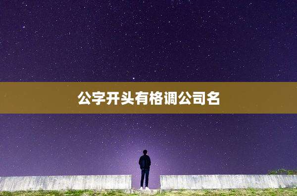 公字开头有格调公司名