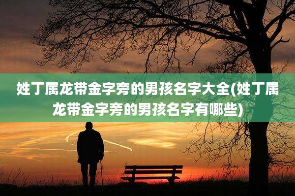 姓丁属龙带金字旁的男孩名字大全(姓丁属龙带金字旁的男孩名字有哪些)