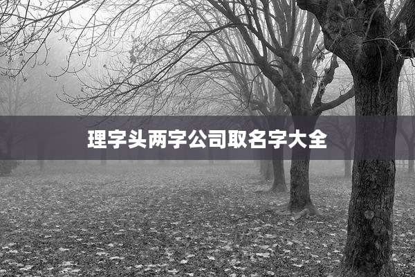 理字头两字公司取名字大全