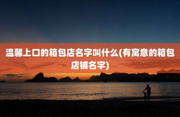 温馨上口的箱包店名字叫什么(有寓意的箱包店铺名字)