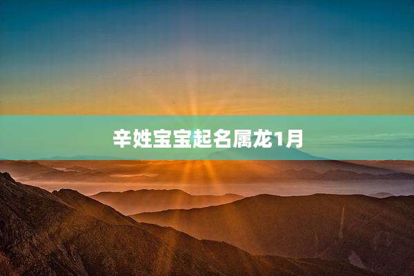 辛姓宝宝起名属龙1月