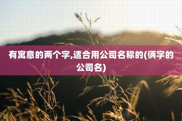 有寓意的两个字,适合用公司名称的(俩字的公司名)