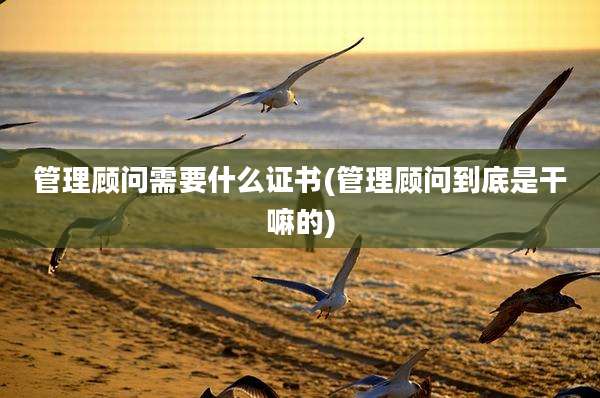 管理顾问需要什么证书(管理顾问到底是干嘛的)