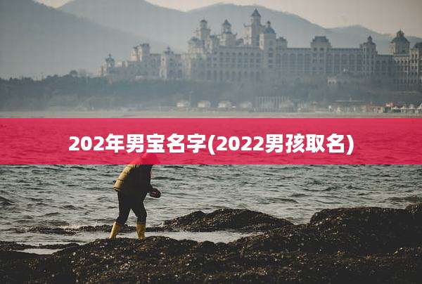 202年男宝名字(2022男孩取名)