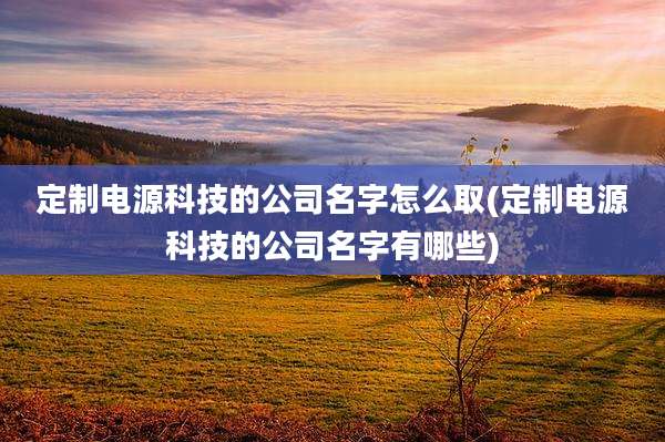 定制电源科技的公司名字怎么取(定制电源科技的公司名字有哪些)