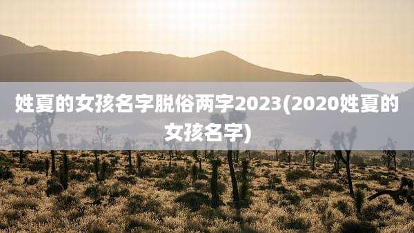 姓夏的女孩名字脱俗两字2023(2020姓夏的女孩名字)