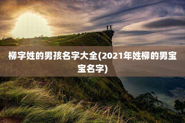 柳字姓的男孩名字大全(2021年姓柳的男宝宝名字)