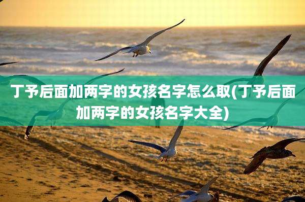 丁予后面加两字的女孩名字怎么取(丁予后面加两字的女孩名字大全)